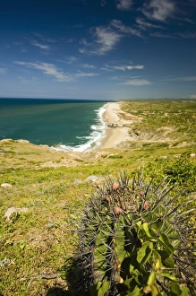 Images Dated 28th September 2006: Rancho Carisivu. Migrino area, west side of peninsula. Cabo San Lucas, Mexico