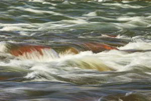 Images Dated 7th June 2013: Rapids, Lower Deschutes River, Central Oregon, USA