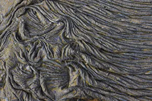Volcanic Prints: Recent Pahoehoe lava flow, Sullivan Bay, Santiago Island, Galapagos Islands, Ecuador