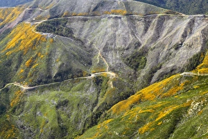 Images Dated 29th September 2005: Recently Felled and Replanted Forestry, Marlborough Sounds, South Island, New Zealand