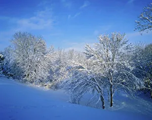 Louisville Prints: Record snow in Louisville, Kentucky
