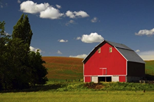 Rolling Prints: Red Barn in the Palouse Area, Whitman County, Washington, USA