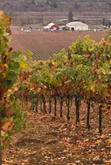 Red barn production area and warehouse at the base of vineyard of Del Rio Winery