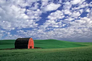 Images Dated 2004 February: Red barn in wheat & barley field in Whitman County, Washington state PR (MR)