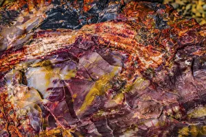 Visitor Center Prints: Red, blue, orange petrified wood, Visitor Center, Petrified Forest National Park, Arizona
