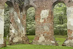 Images Dated 27th March 2007: Red brick ruins of the Church of Prince Williams Parish known as Sheldon