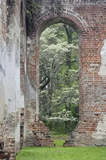 Red brick ruins of the Church of Prince Williams Parish known as Sheldon, buit between 1745-1755