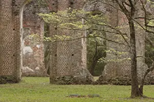 Images Dated 27th March 2007: Red brick ruins of the Church of Prince Williams Parish known as Sheldon