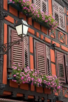 Flower Box Prints: Red building with shuttered windows and flower boxes in the village of Ribeauville