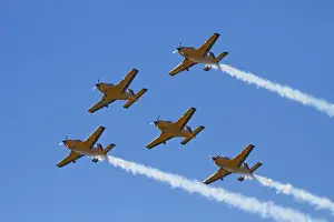 The Red Checkers Aerobatic Display Team with CT-4B Airtrainers
