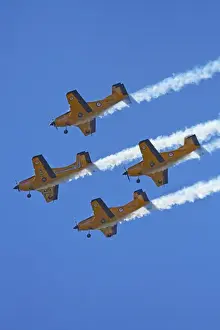 The Red Checkers Aerobatic Display Team with CT-4B Airtrainers