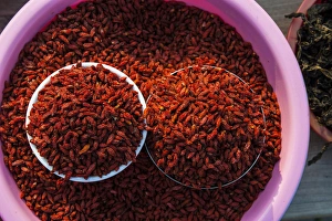 Chili Prints: Red chili for sale, Beopjusa Temple Complex, South Korea