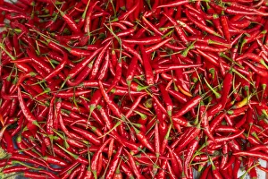 Market Place Prints: Red chilli, Dong Ba Market, Hue, Thua Thien-Hue Province, North Central Coast, Vietnam