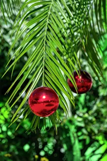 Festive Prints: Red Christmas ornaments on a palm tree