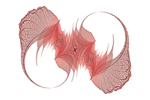 White Background Prints: Red colored skeleton leaves arranged on black background