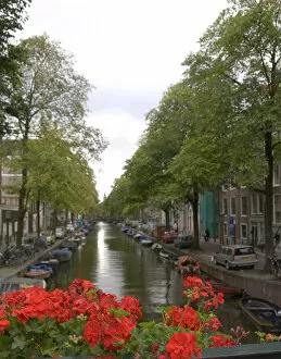 Red flowers top a bridge crossing a boat lined canal