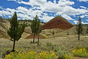Landscape Prints: Red Hill, Painted Hills, Mitchell, Oregon, USA