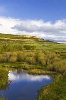 Wet Land Prints: Red Hill sits above wetlands slough off the Judith River near Utica Montana