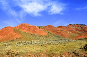Images Dated 8th October 2013: The Red Hills in the GRos Ventre Valley, Jackson Hole, Teton National Park, part