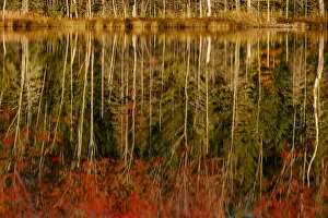 Alger County Prints: Red Jack Lake and sunrise reflection, Alger County, Upper Peninsula of Michigan