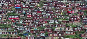 Tibetan Prints: Red log cabins lived by nuns and monks covering the mountain side, Seda Larung Wuming