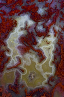 Slab Prints: Red Moss Agate Slab