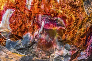 Images Dated 12th August 2021: Red, orange and yellow petrified wood abstract, Blue Mesa, Petrified Forest National Park
