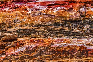 Images Dated 12th August 2021: Red, orange and yellow petrified wood abstract, Blue Mesa, Petrified Forest National Park