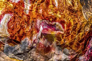 Images Dated 12th August 2021: Red, orange and yellow petrified wood abstract, Blue Mesa, Petrified Forest National Park