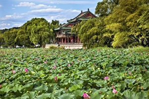 Imperial Prints: Red Pavilion Lotus Pads Garden Summer Palace Park, Beijing China Willow Green Trees