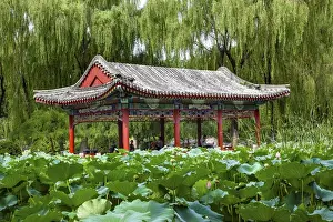Red Pavilion Lotus Pads Garden Temple of Sun City Park, Beijing, China Willow Green Trees
