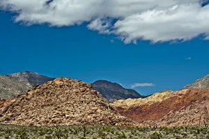 Stark Prints: Red Rock Canyon National Conservation Area, Nevada, USA
