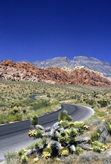 Las Vegas Prints: Red Rock Canyon National Conservation Area, Las Vegas, Nevada, USA