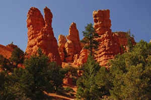 Red Rock, Red Canyon, Utah, USA