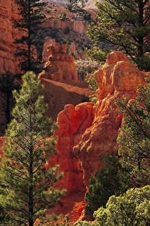Hiking Prints: Red Rock; Red Canyon; Utah; USA; nature; scenic; late afternoon; natural wonder
