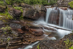 Images Dated 10th July 2016: Red rocked Virginia Creek in Glacier National Park, Montana, USA