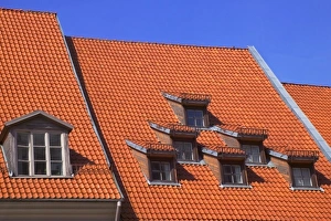 Roof Top Prints: Red roofs of house, Riga, Latvia