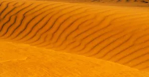 Red sand dune in southern Namib Desert, Sesriem, Hardap Region, Namibia