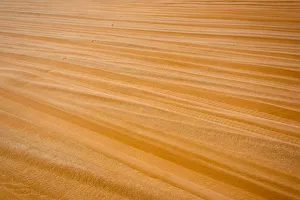 Images Dated 10th September 2018: Red sand in southern Namib Desert