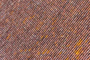 Baltic Prints: Red tile roof of Turaida Castle, Turaida, Latvia