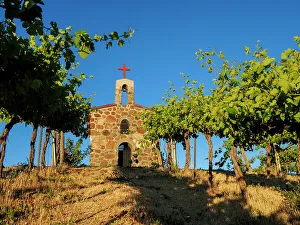 Growing Prints: Red Willow Vineyards with stone chapel. (PR)