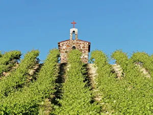 Growing Prints: Red Willow Vineyards with stone chapel. (PR)