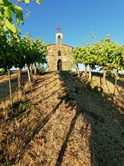Growing Prints: Red Willow Vineyards with stone chapel. (PR)