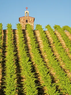Streaming Prints: Red Willow Vineyards with stone chapel. (PR)