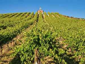 Growing Prints: Red Willow Vineyards with stone chapel. (PR)