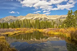 Grasses Prints: Reflection; Big Wood River; autumn; Sawtooth National Forest: Idaho; USA