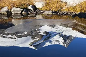 Reflecting Prints: reflection of Mount Hoher Zaun and Mount Schwarze Want in a pond in late fall, Hohe