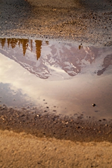 Images Dated 31st January 2024: Reflection of Mount Rainier in a puddle, Mt. Rainier National Park, Washington State, USA