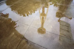 Danita Delimont New Images May 2025 Prints: Reflection of Space Needle, Seattle, Washington State, USA
