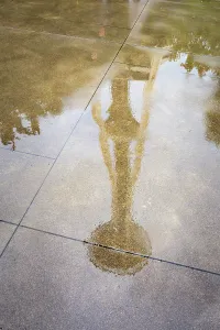 Danita Delimont New Images May 2025 Prints: Reflection of Space Needle, Seattle, Washington State, USA